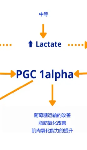 超过 3 小时： 你的功率强度区间为何会偏移？