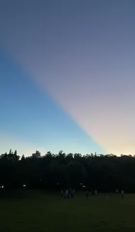 第二十五期 单一故事的危险性