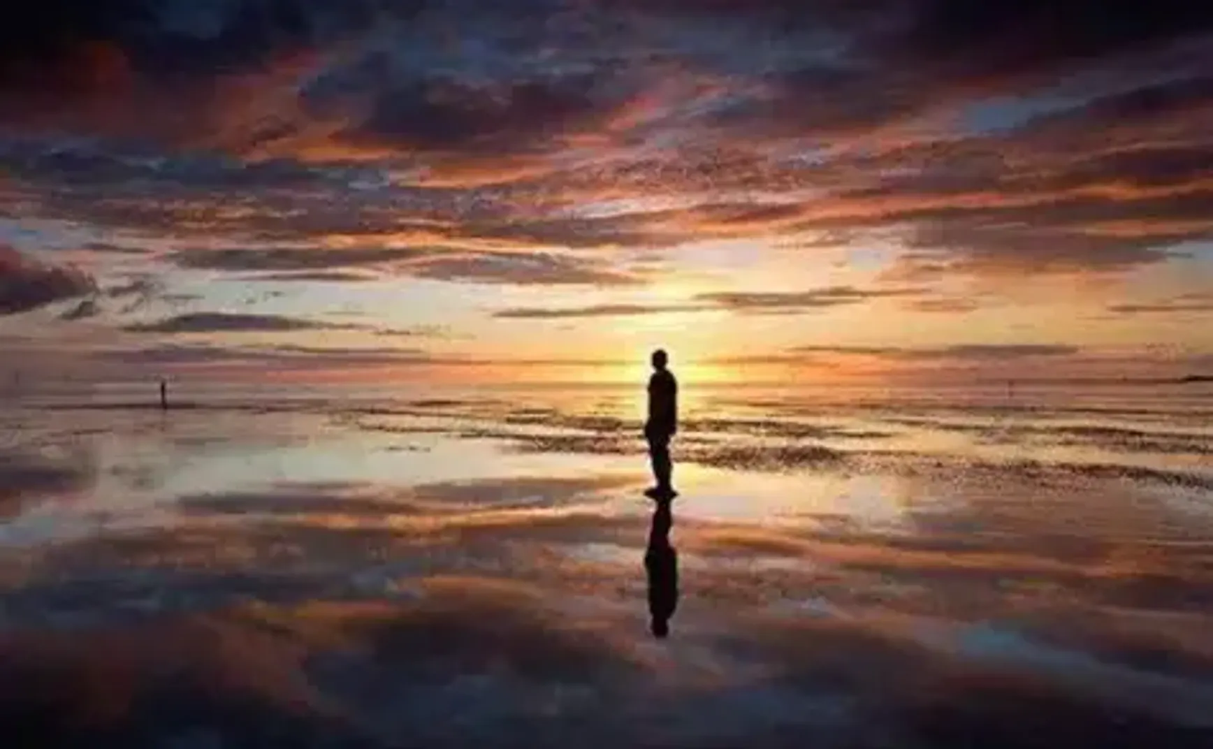 夺回我们的渺小