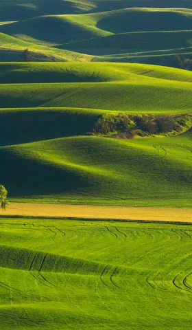 8月22日 | 公正、发展与民生：今日要闻