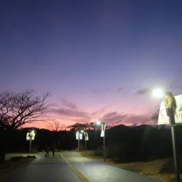 Lamenting On Recent Incident at Work