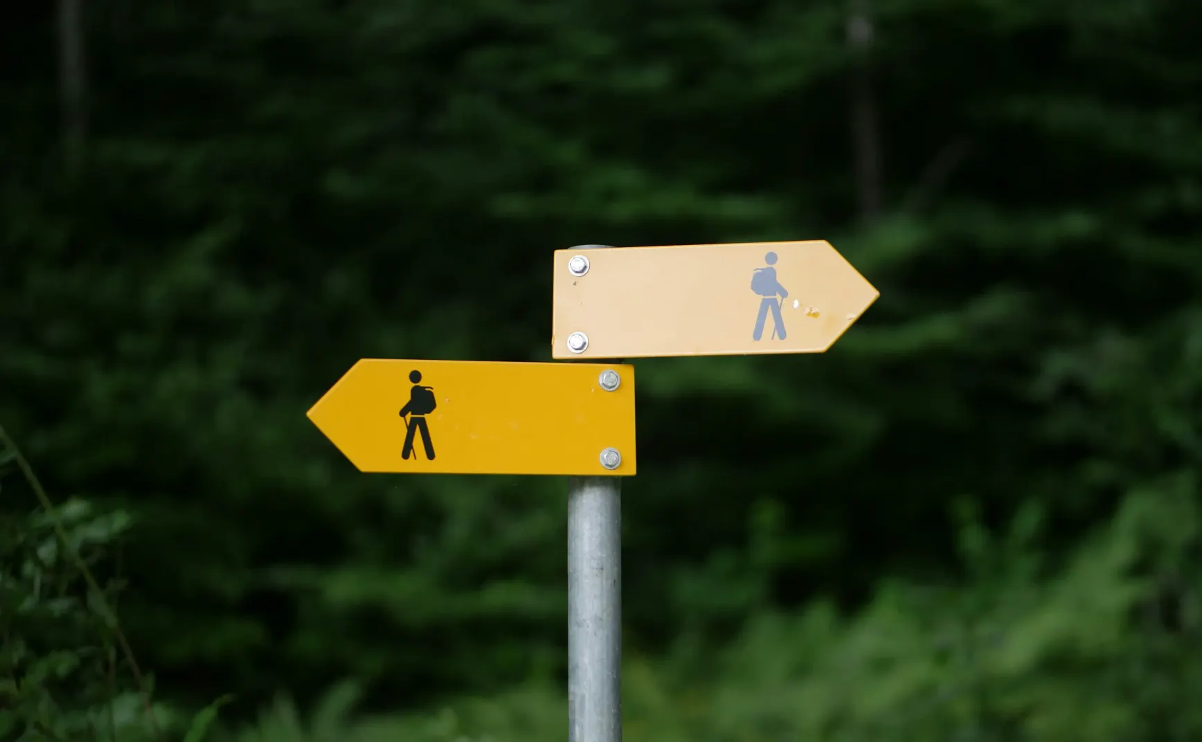 没有完全免费的，总要付出成本