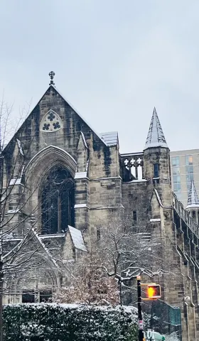 Semi-paranoid #38 关于寻找自我之路，以及路上的部分养料