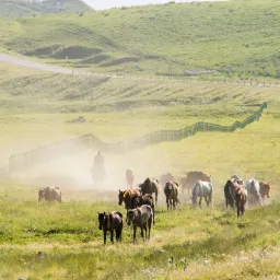 011_数字生活周刊  久违了看看这期有什么好玩的好用的