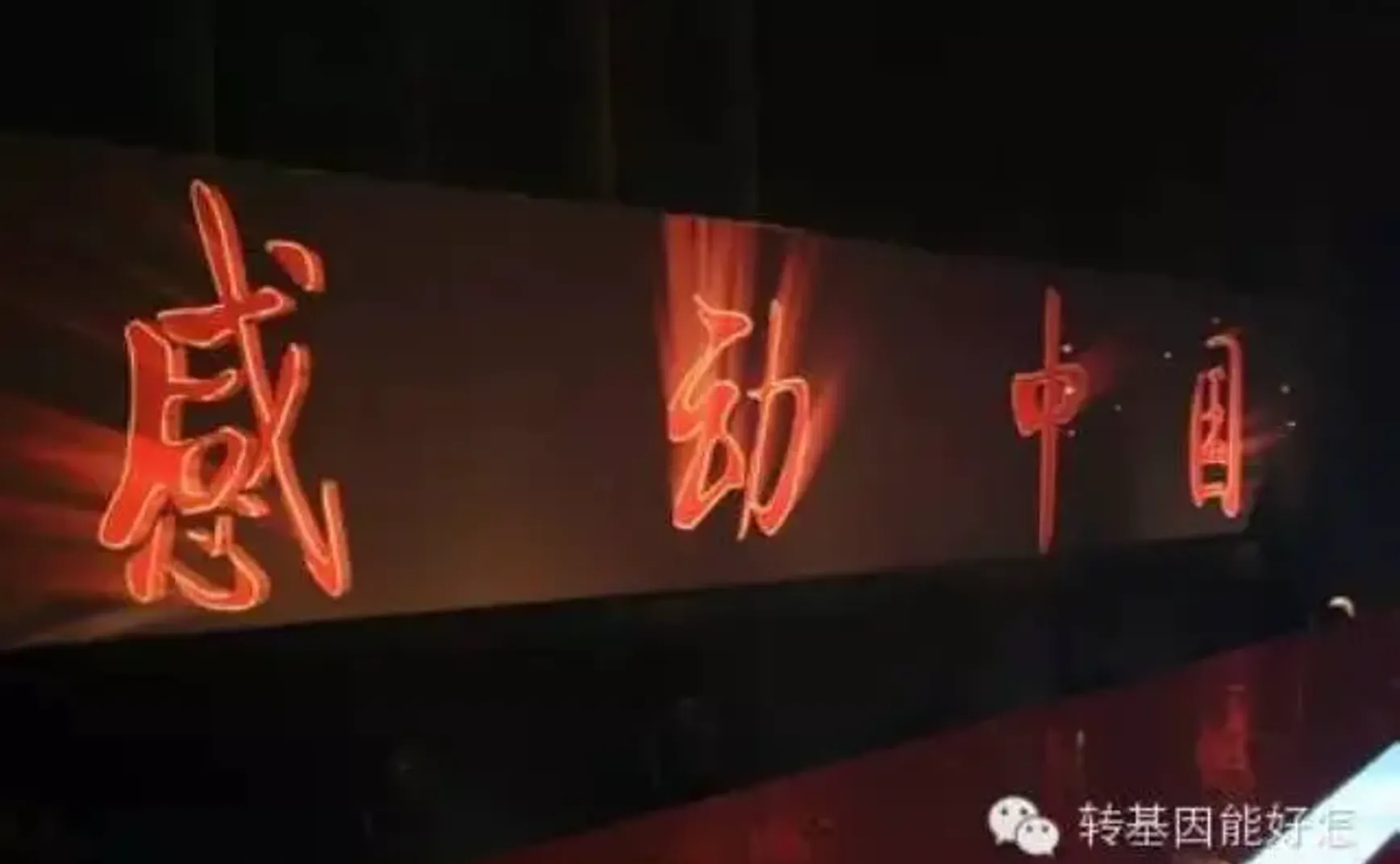 做公益一定要抛家弃子才能感动中国？