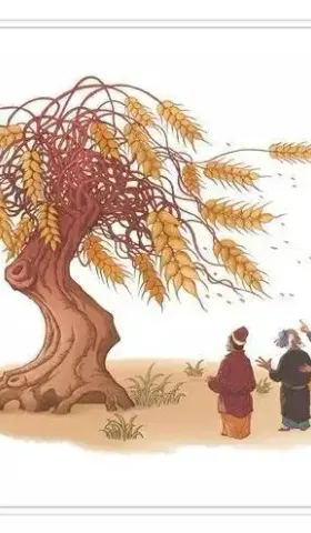 不讲稻理丨老祖宗想转基因而不得，我们有转基因却不用
