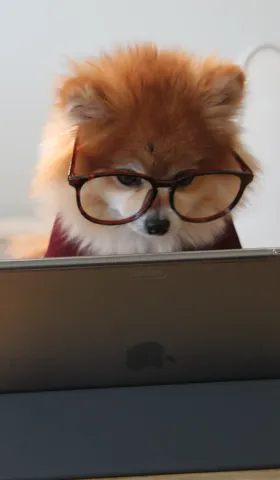 Claude Skill→Gemini Cli toml转换器（vibe coding题目）