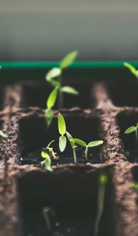 011 没上班的这一年