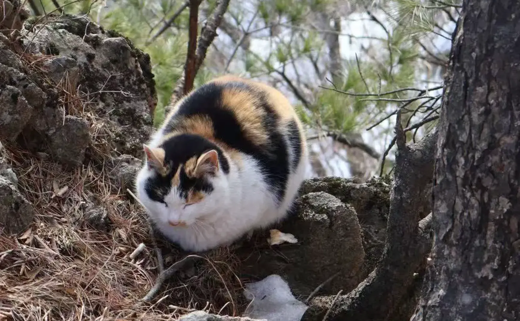 Semi-paranoid #56 下个路口再见👋