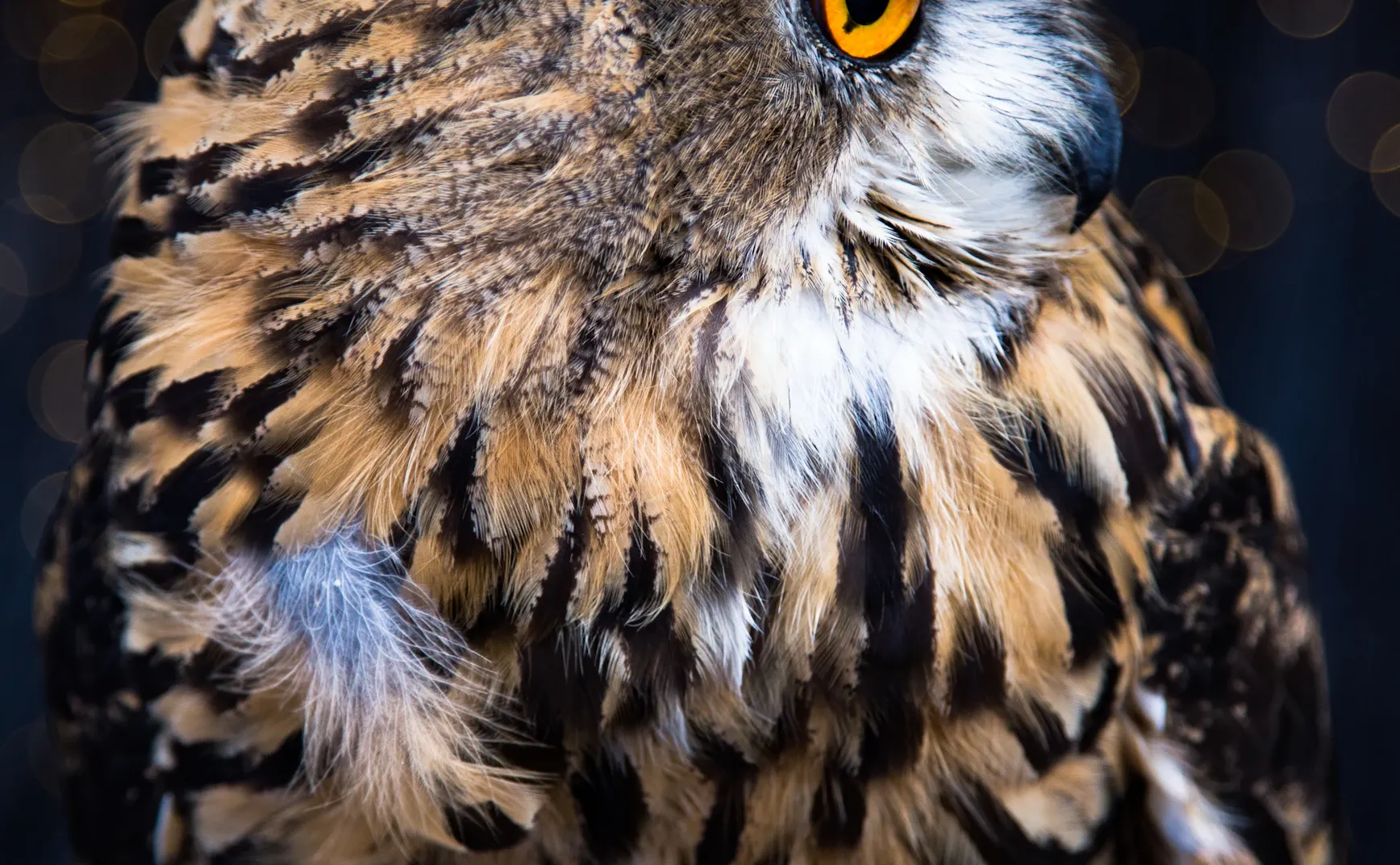 《智慧的元结构：写给AI的哲学书》