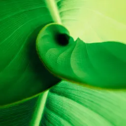 Best of article 11：黄仁勋——打败对手不是目标