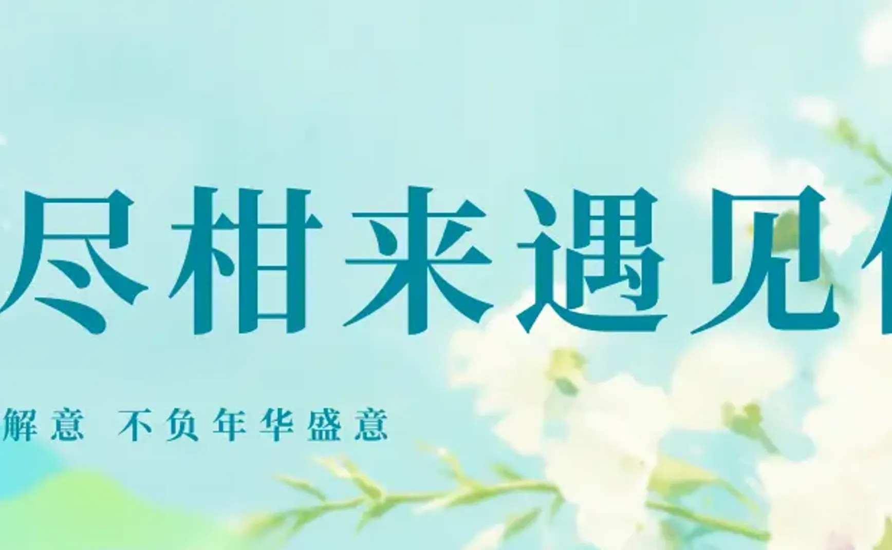复盘W15-苦尽柑来遇见你