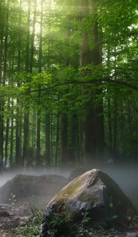 婴儿用消毒剂推荐 Dapple Baby, All Purpose Cleaner, Fragrance Free, 16.9 fl oz (500 ml) $5.81 一瓶