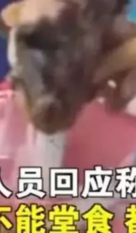 重庆医院食堂吃出老鼠头，这回居然爽快承认了