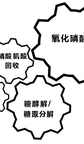 能源的 3 种途径