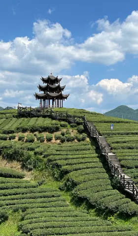 第五篇：国家为什么既需要又清洗中间组织