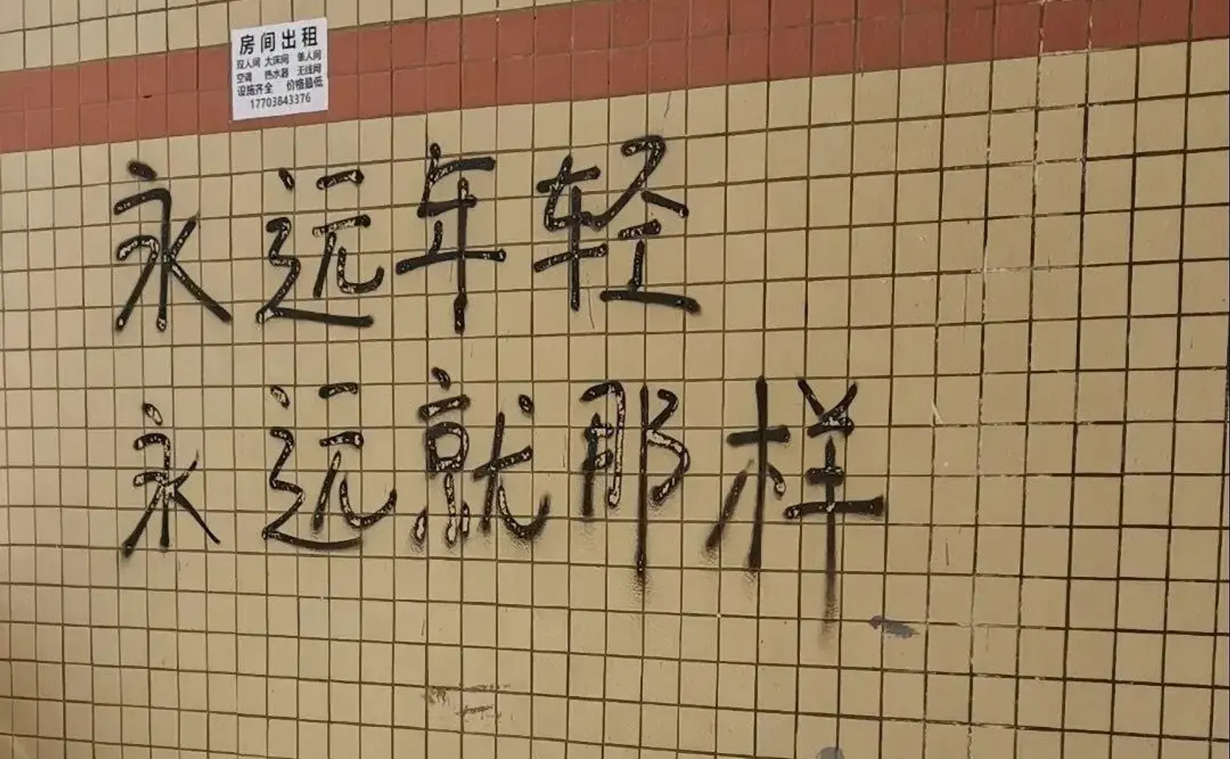 观察日记-03