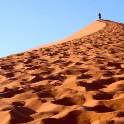 从“坚毅”到“好奇心”:一个高维成功模型的深度解析