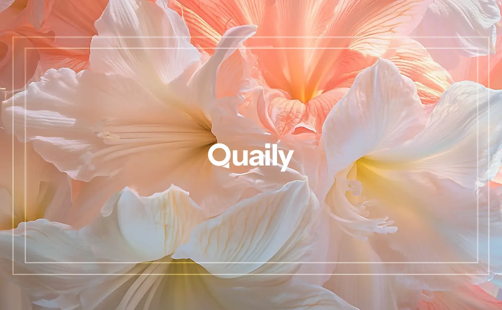 🐦 Quaily Alternatives