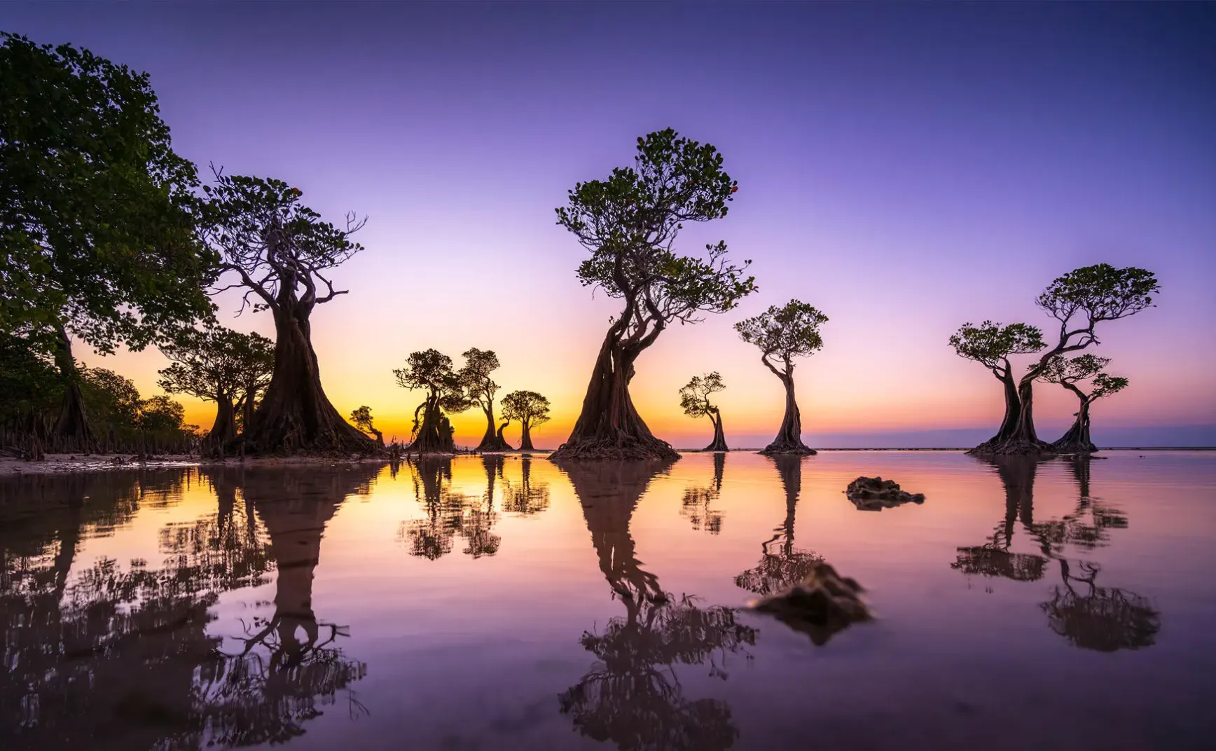 7月26日 | 聚焦国际动向，关注民生百态与行业变革