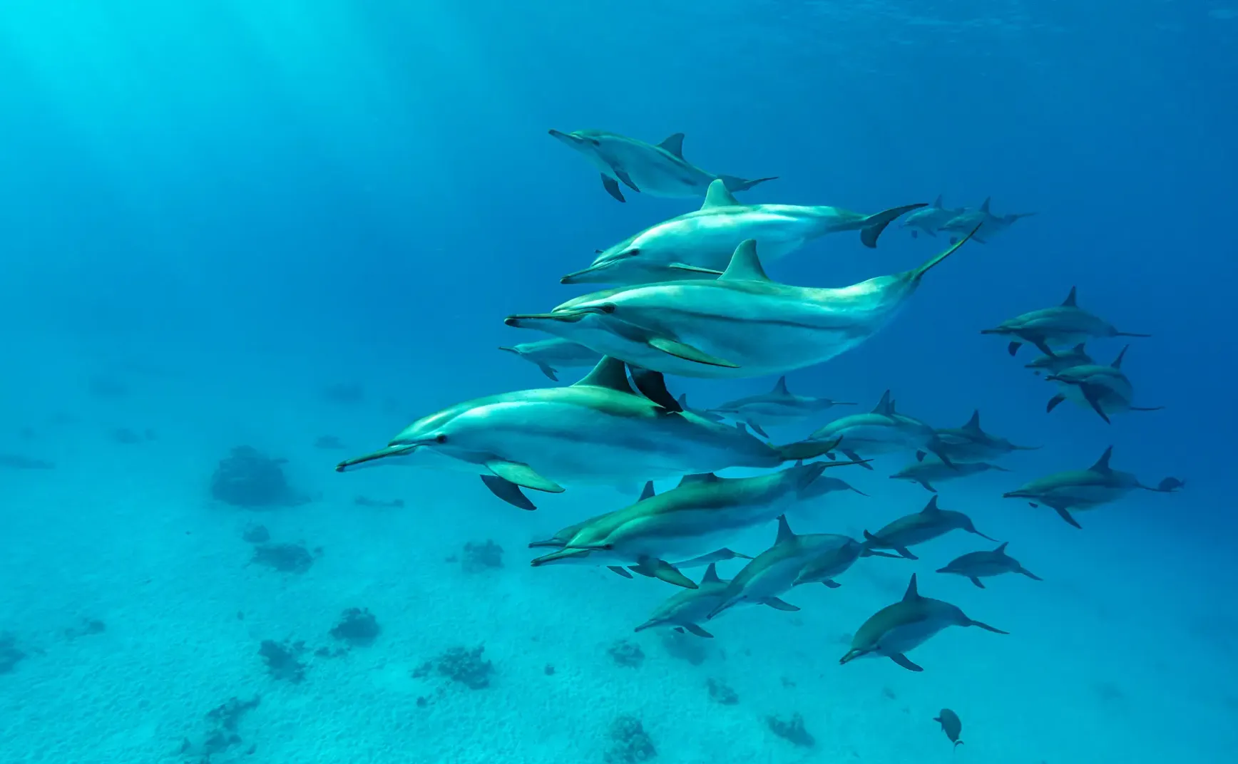 9月12日 | 今日要闻：西贝预制菜风波，网络生态治理与健康新规