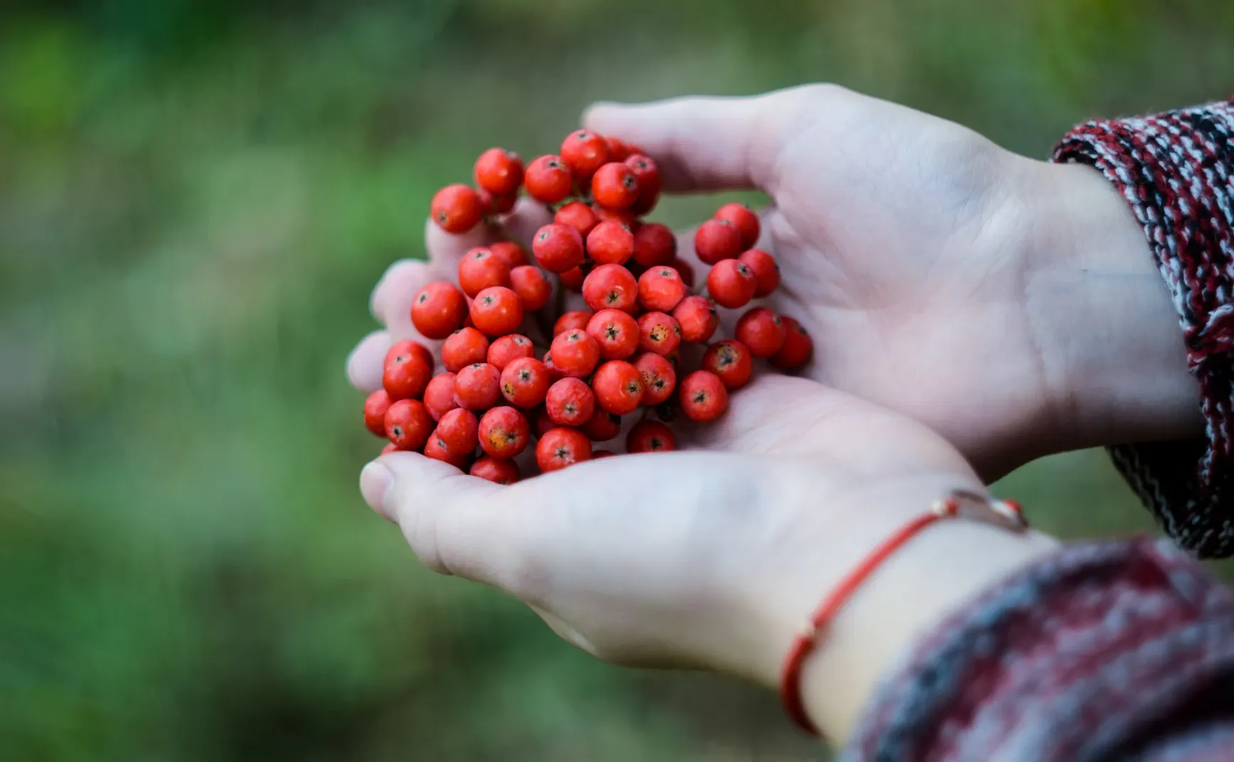 《实用泛函分析：Python驱动的眼视光学镜片设计优化》课程大纲