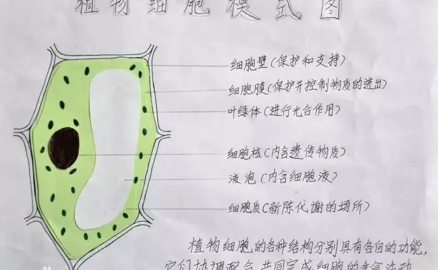 亲子鉴定要花几千块，转基因居然能目测？