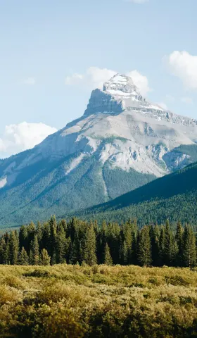 习惯养成的一点新实践