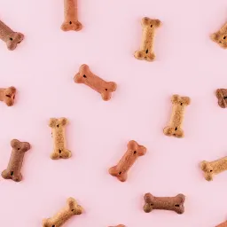 商业失败研究：欲速则不达🐈‍⬛