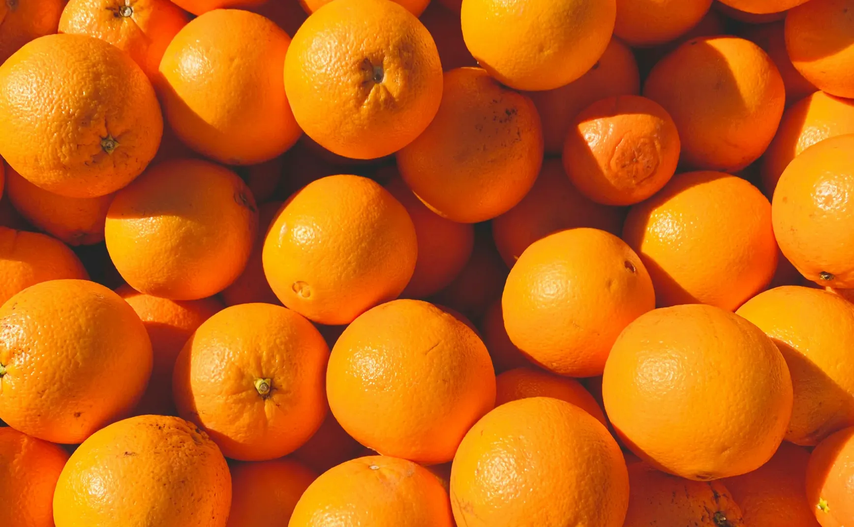 Orange 1-4月的小结，真实的创业，是把理想磨成细节