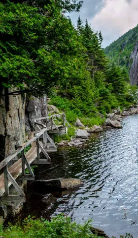 8月18日 | 社交平台陷3.2亿诈骗疑云，上博大展破纪录，多国领导人将赴美乌峰会