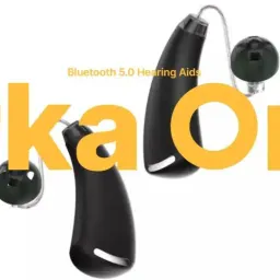 Orka团队在国际助听器语音增强技术挑战赛中获双项奖励