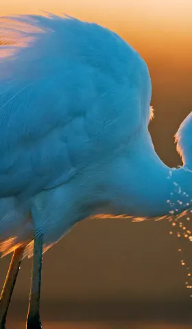 8月28日 | 市场动态活跃，国际贸易生变，司法与两岸引关注