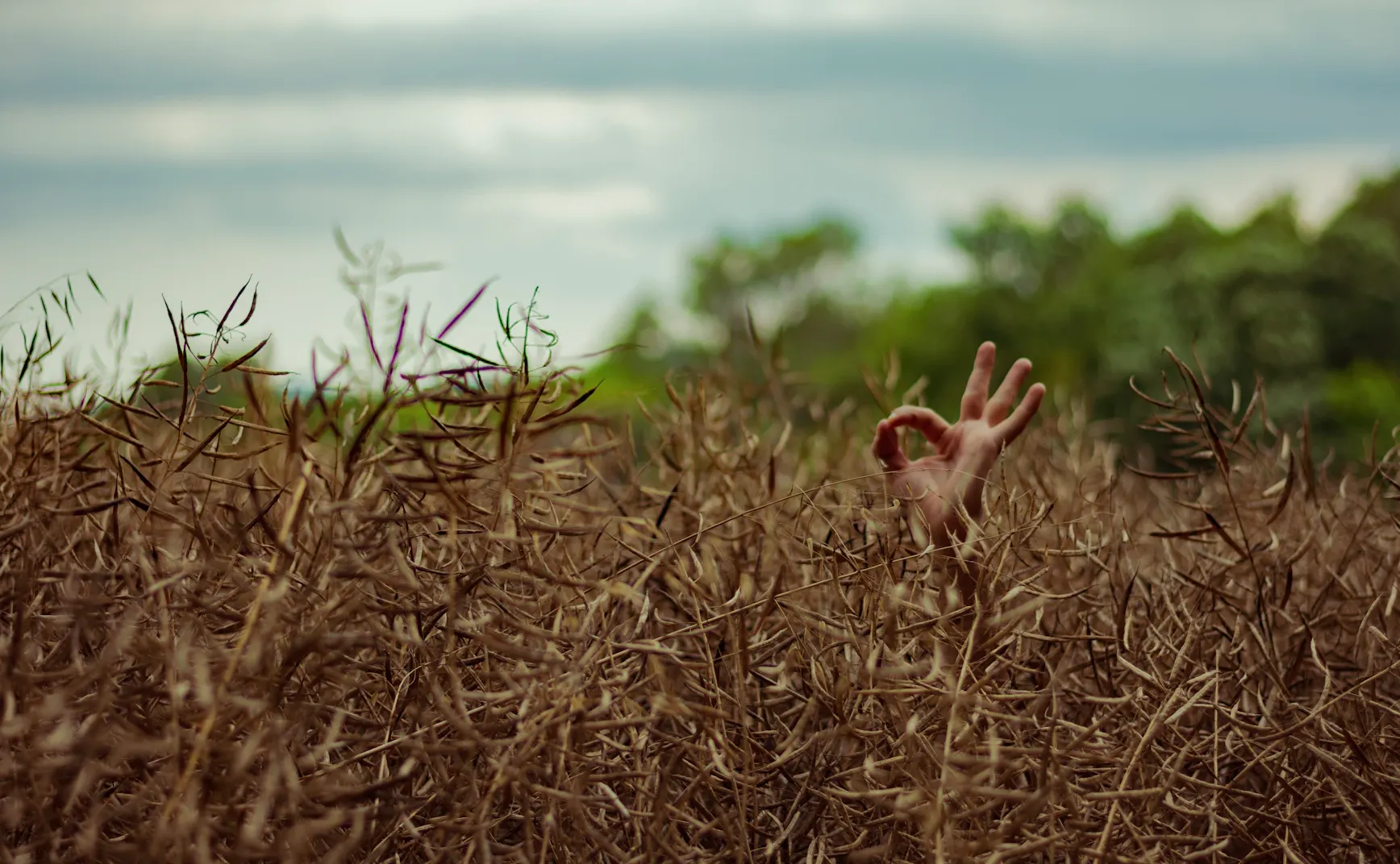 Cogito 01｜对自己好一些