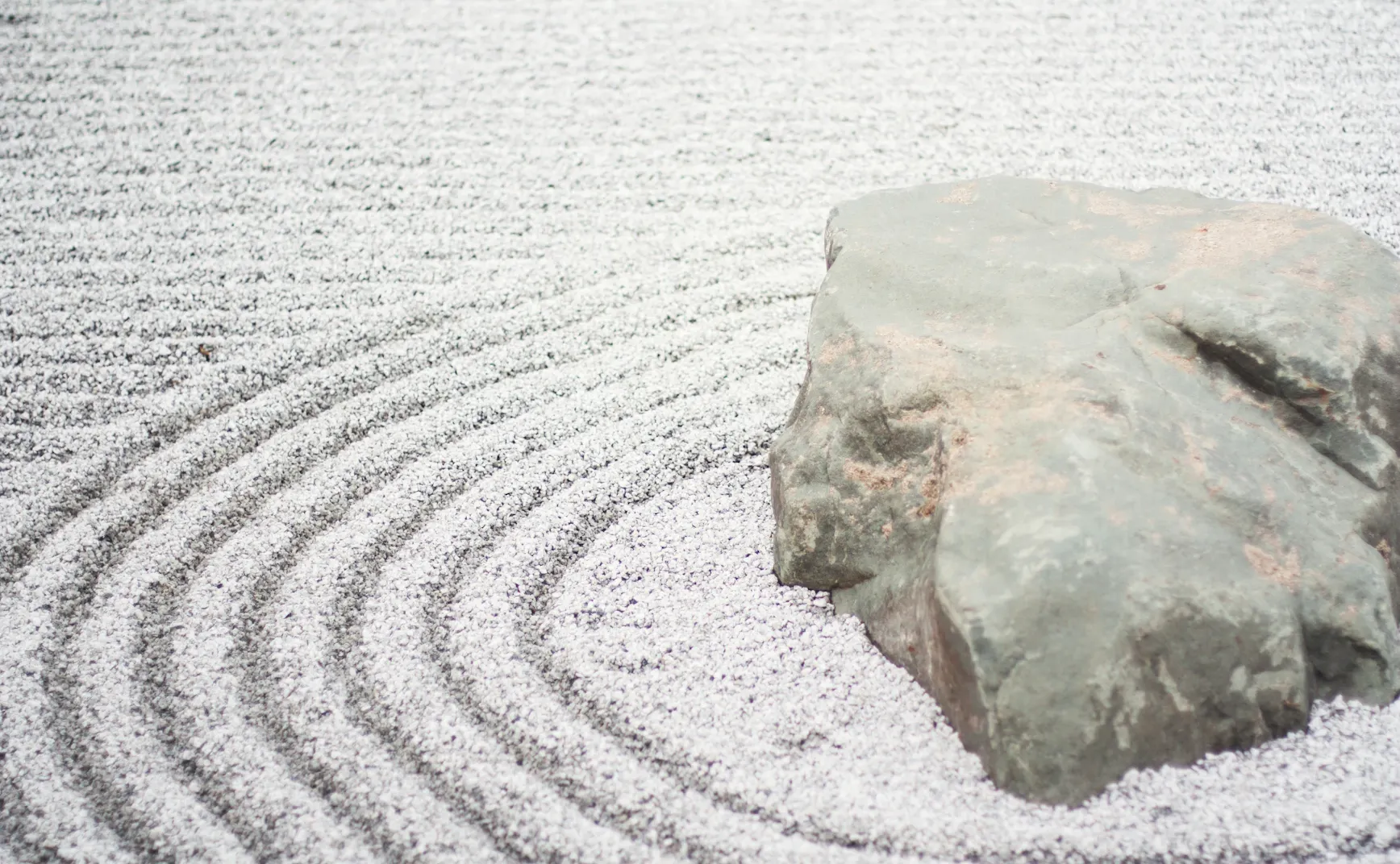 修行辅助AI技术可行性分析报告