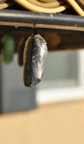 #1 打破了两个固有观点