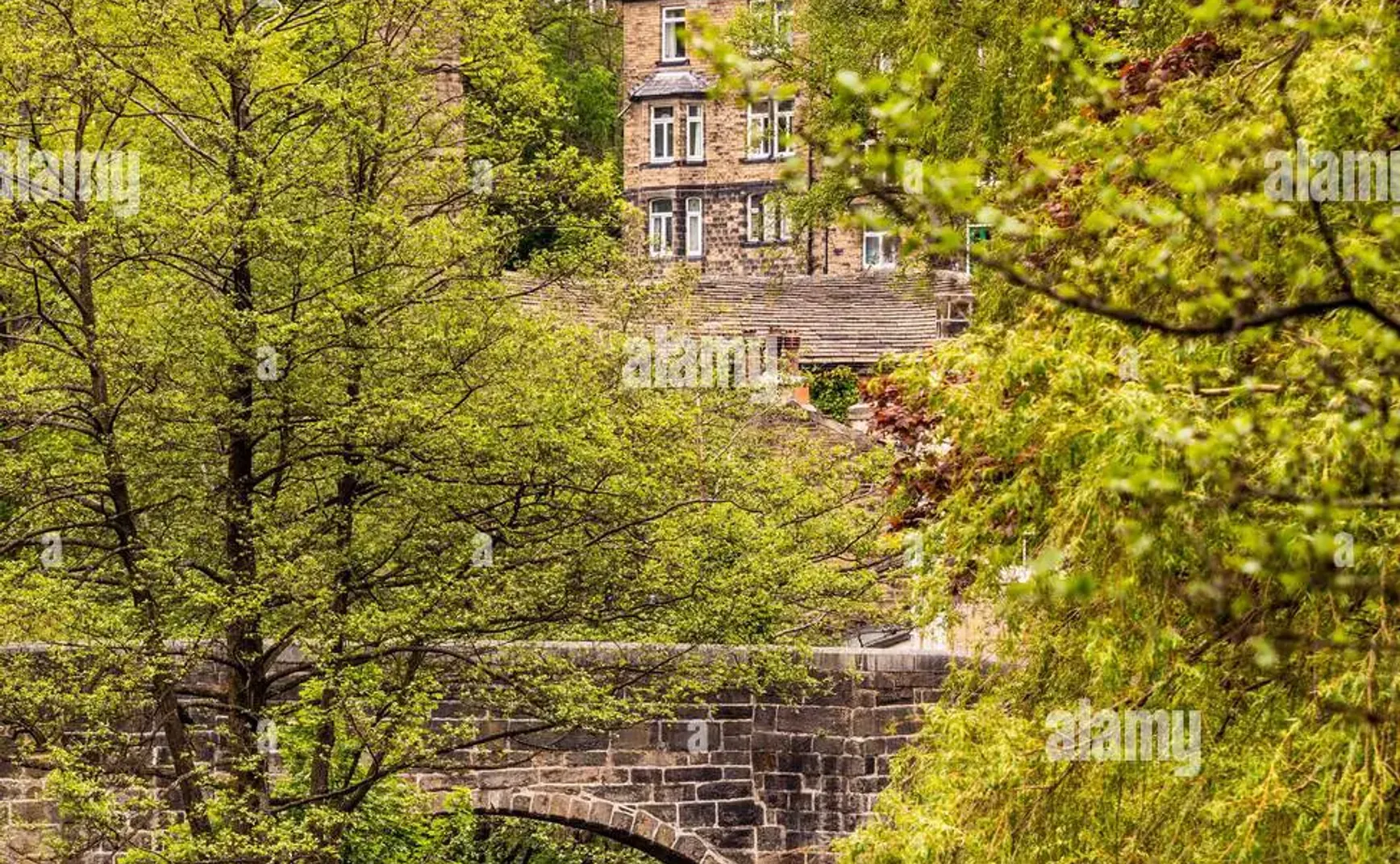 What Would Hitler Do? 