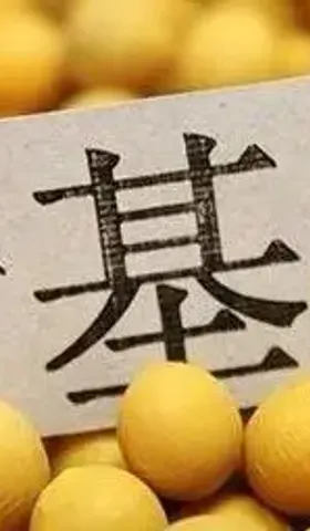 小崔啊，国产转基因大豆合法上市啦！
