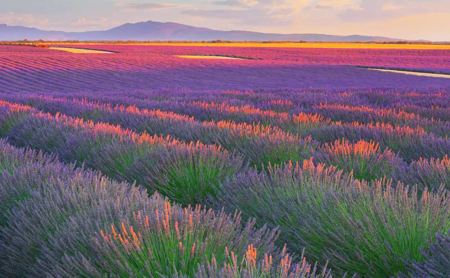 7月17日 | 高官判死缓 南海局势紧张 多地执法乱象引关注