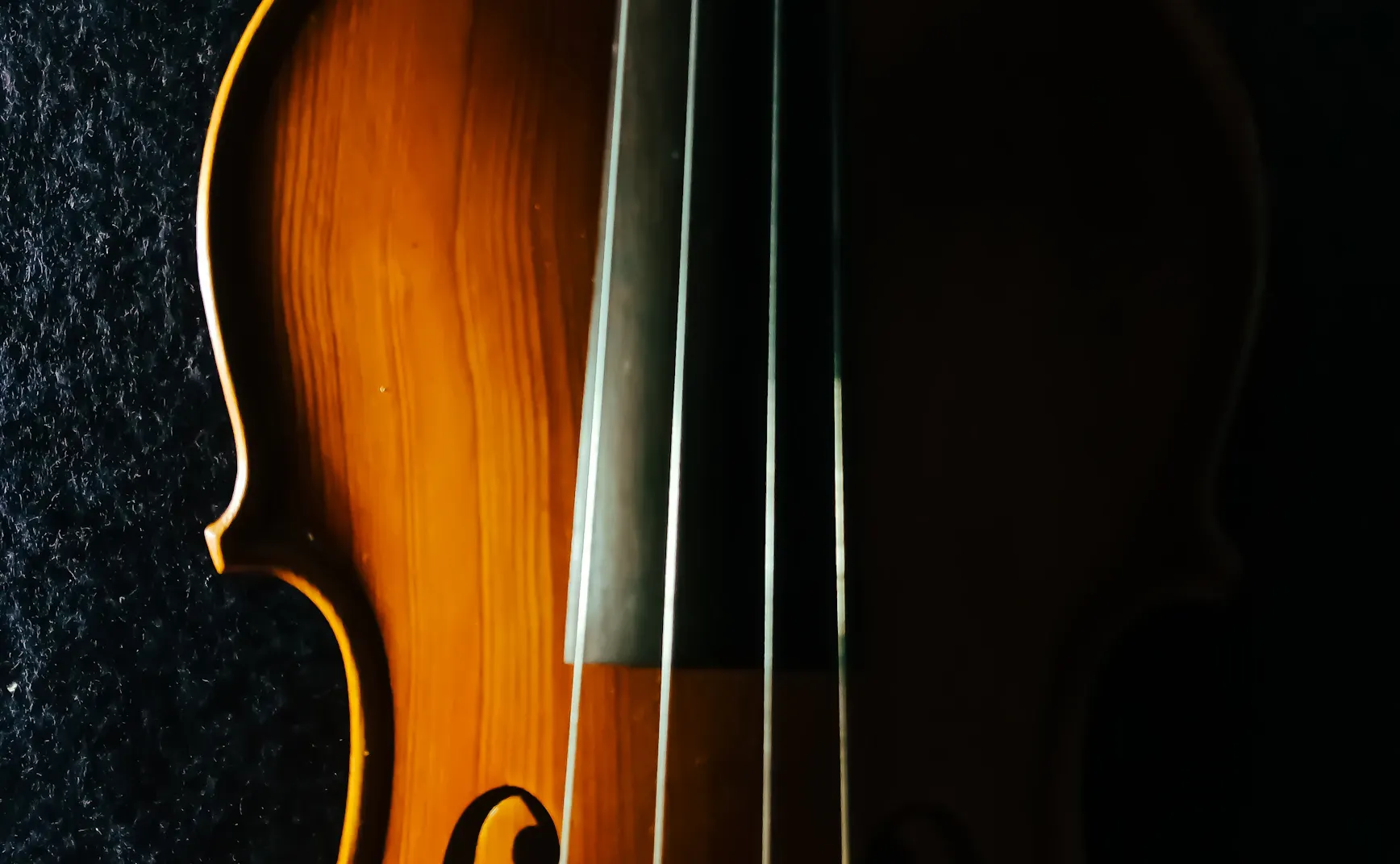 漫画企划案：编织者的弃兵