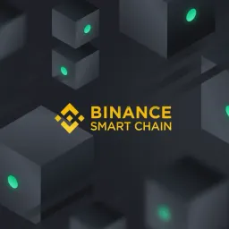 💰 How to empower Your Newsletter with BSC Blockchain Payments