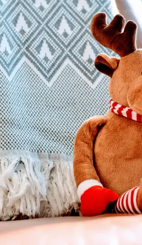 Christmas Decoration Shopping Guide 2024: Christmas Goodies
