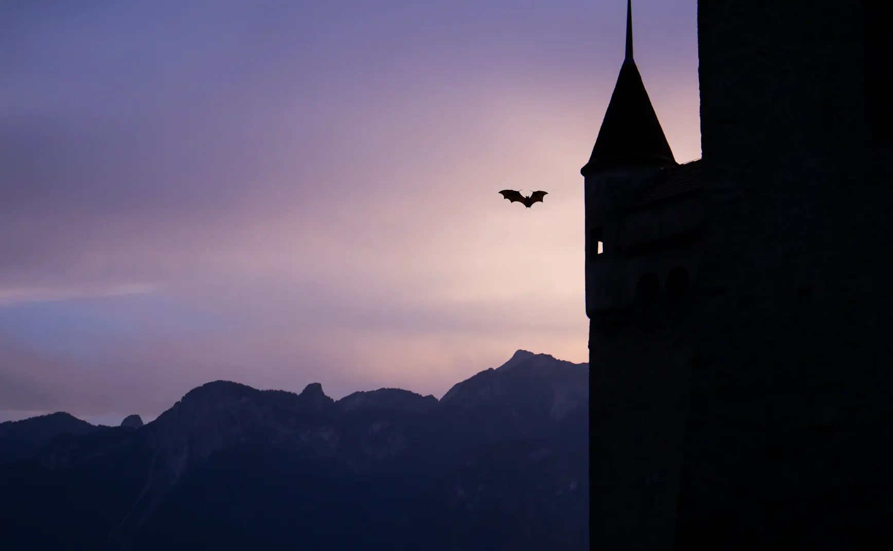 #11 当我们在讨论 AI 是否有意识时，我们在讨论什么？