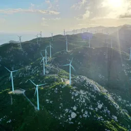 08 买得起养不起的电动爹；买房中的“真伪配套”；买手店的困局；MOS管和继电器有啥区别