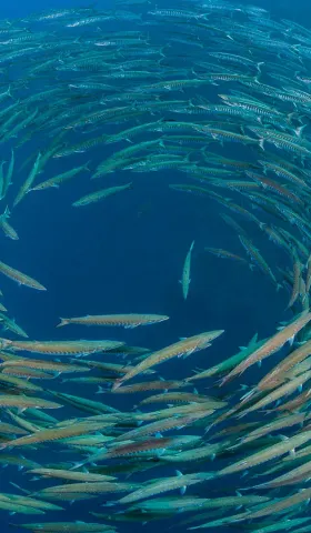 7月27日 | 多国聚焦AI治理与国际局势，国内安全与健康引关注