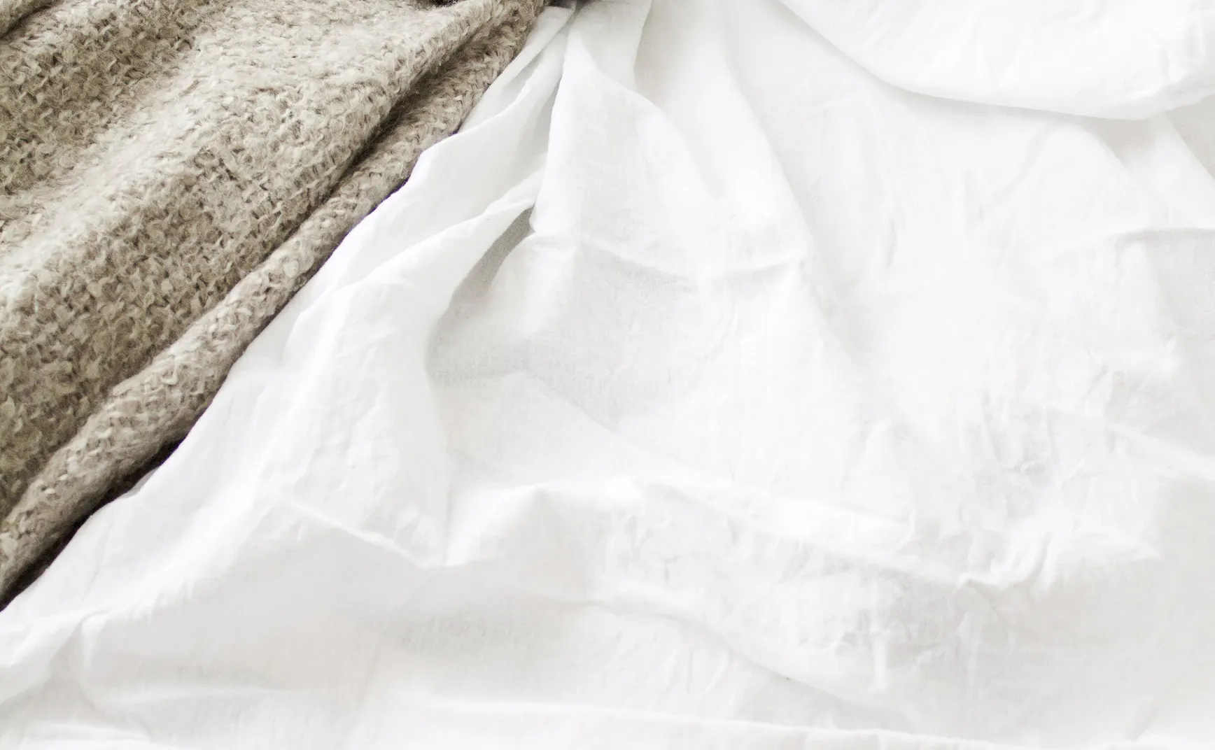 《猫的领地》第10章：解构陈词滥调