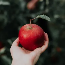 【解讀美股情緒】準備採低處的水果 - 20251009