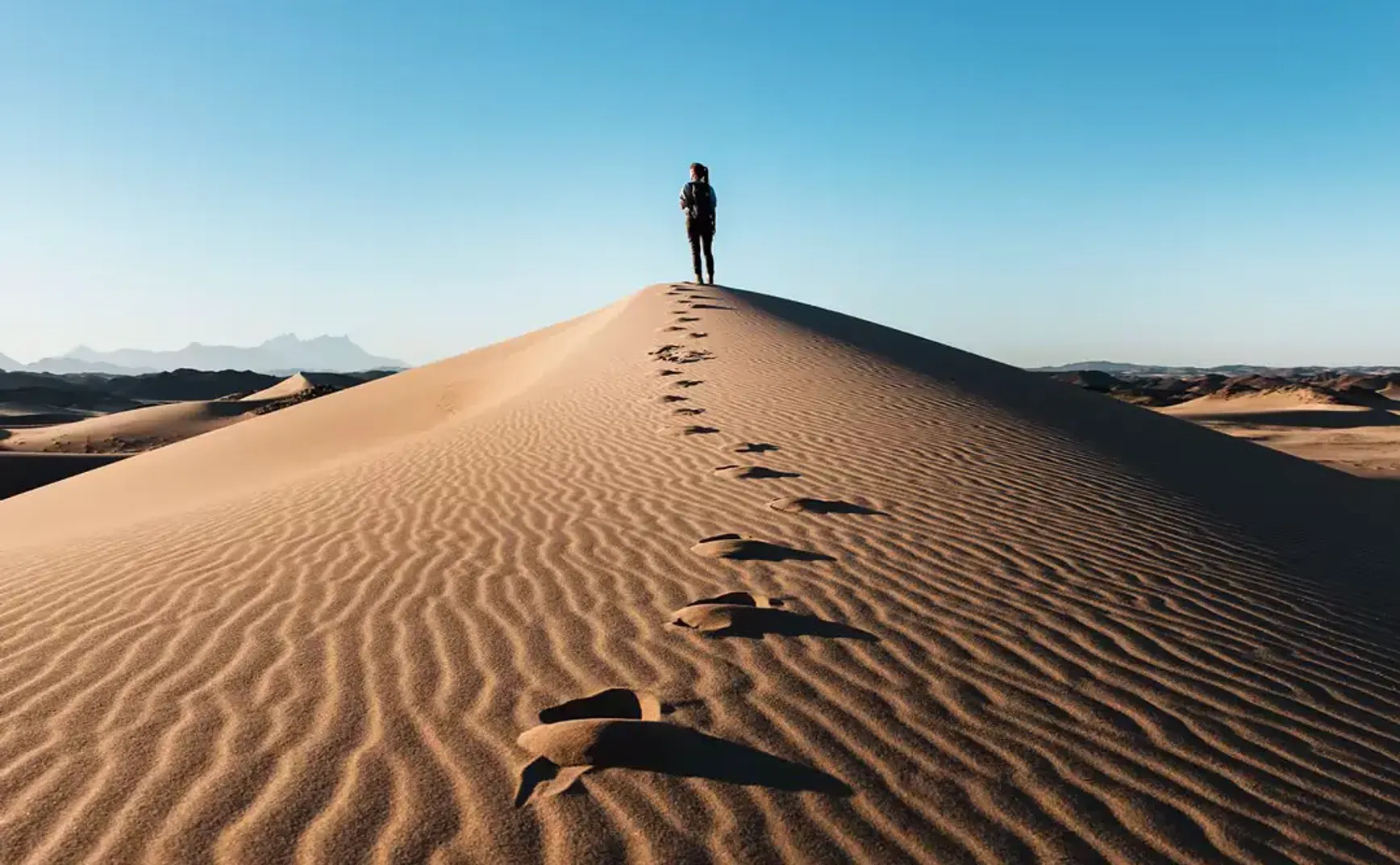 NO42 Best of article：黄峥：一路走来，我的经历与思考