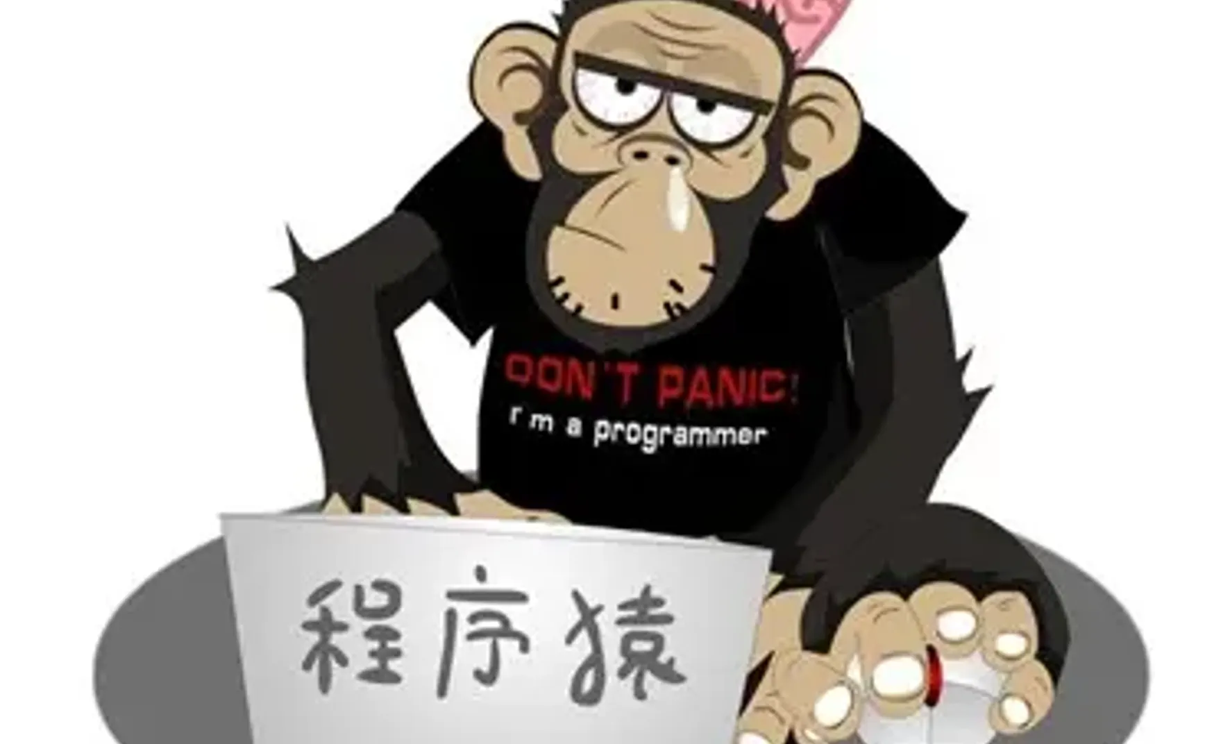 我把程序献给你