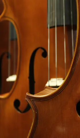 #9 沉默的大多数